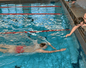 Schwimmen Sporteignungstest Vorbereitung